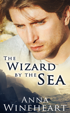 The Wizard by the Sea book cover 1