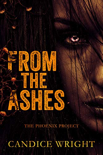 The Phoenix Project Duet book cover 1
