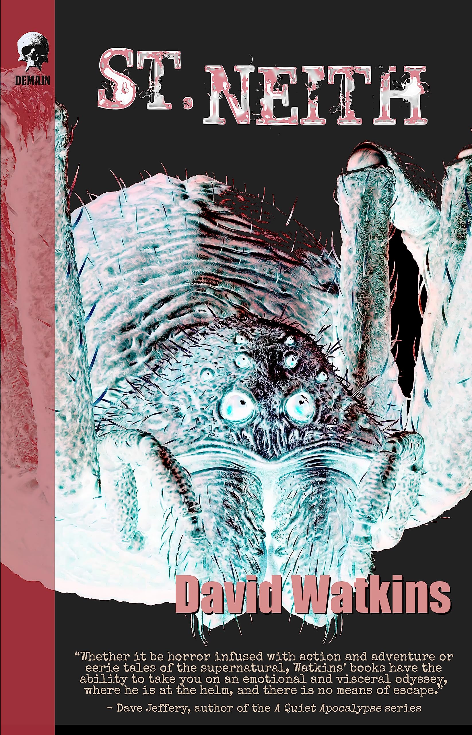 St Neith book cover