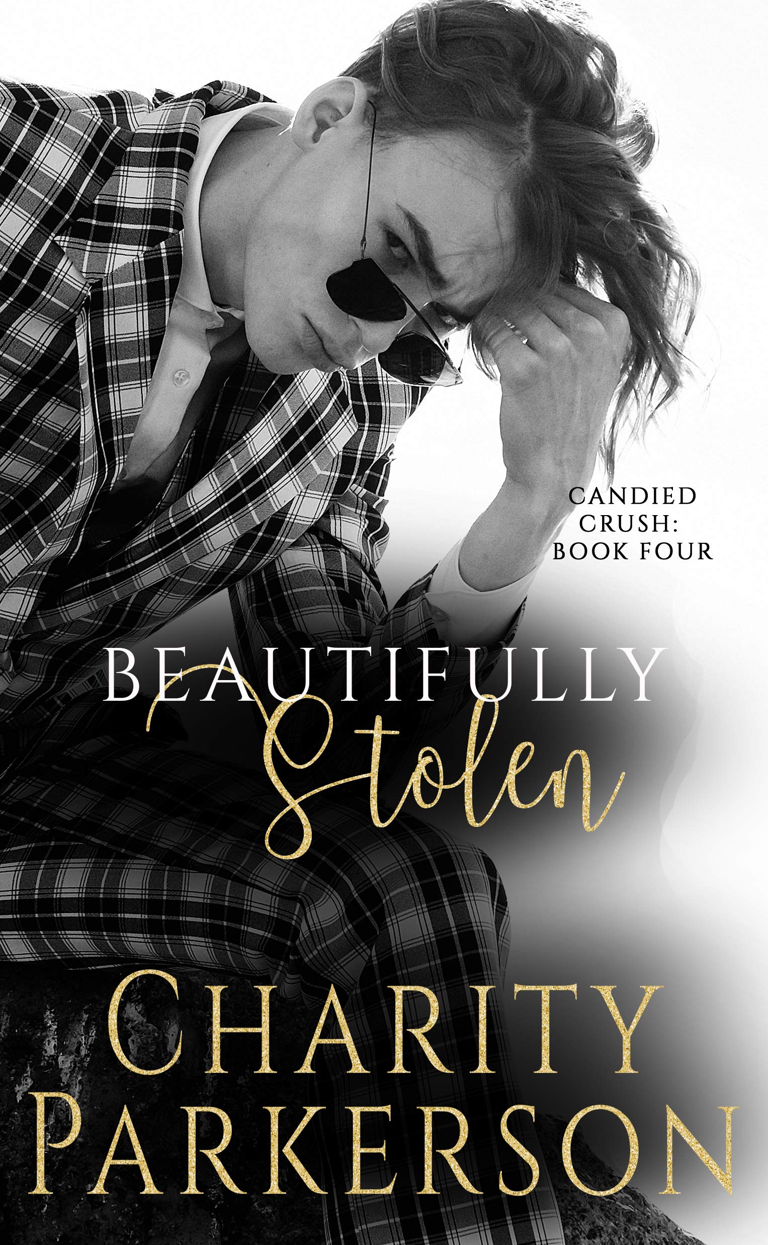 Beautifully Stolen book cover