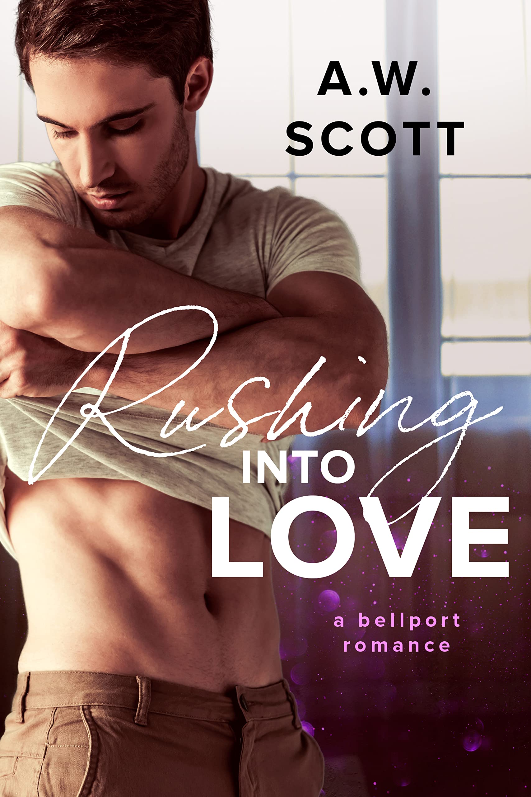 Bellport book cover 1