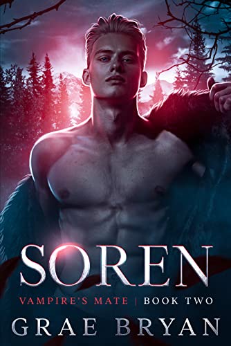 Vampire's Mate book cover 2