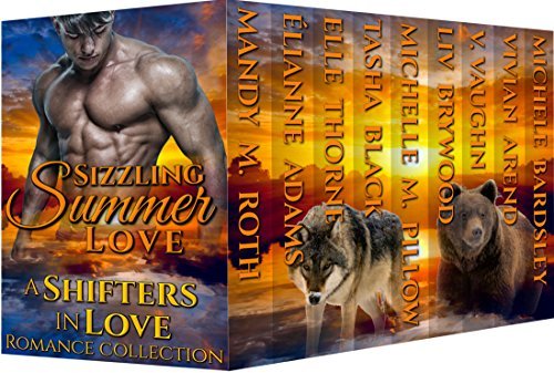 Sizzling Summer Love book cover