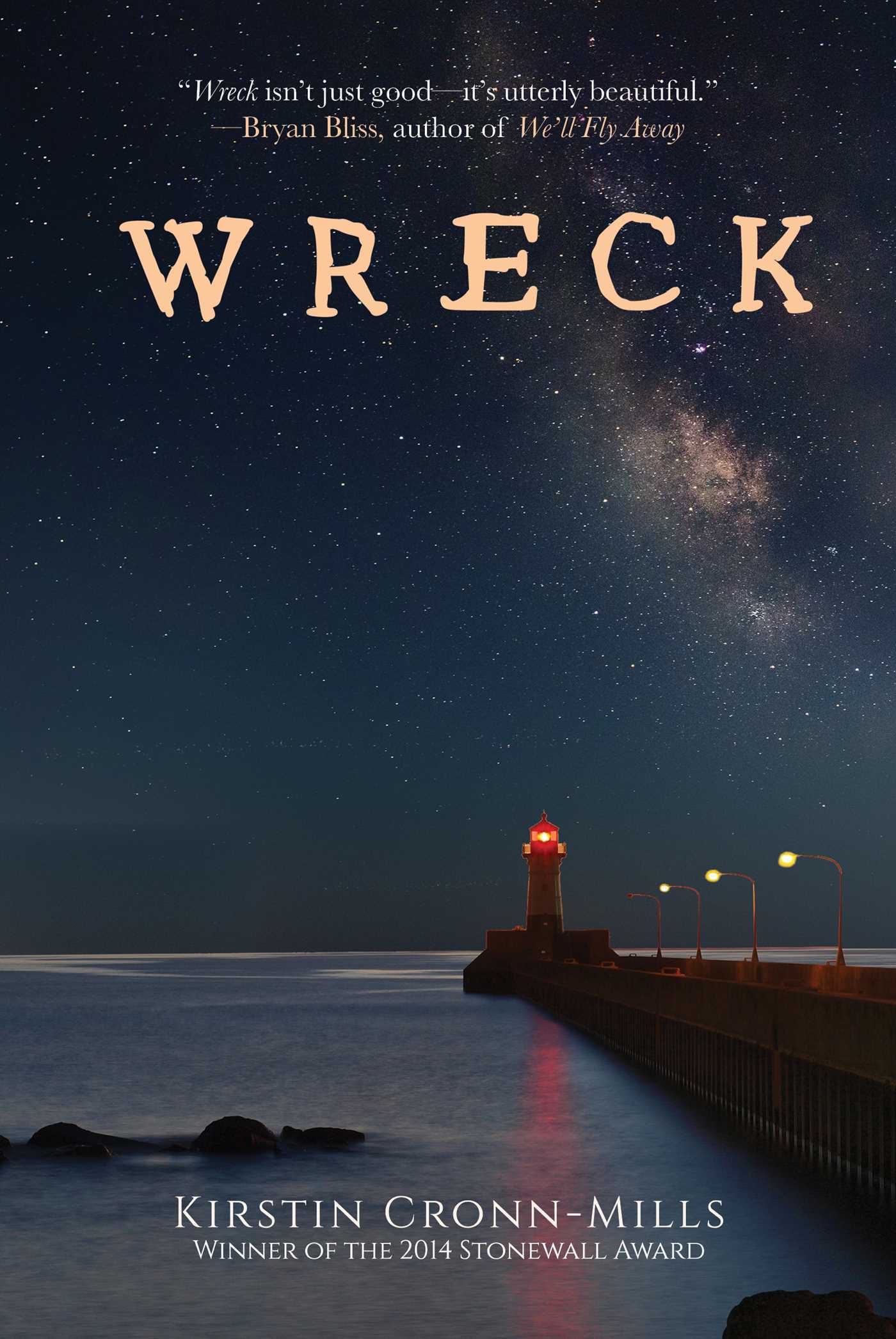 Wreck book cover