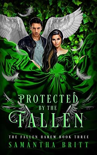 Fallen Harem book cover 3