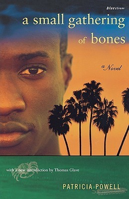 A Small Gathering of Bones book cover