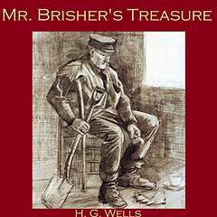 Mr. Brisher's Treasure book cover