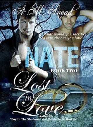 Lost in Love book cover 2