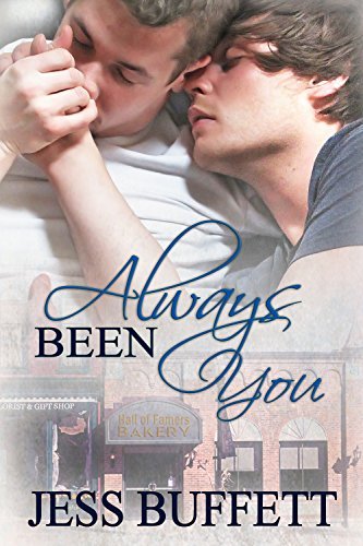 Second Chances book cover 1