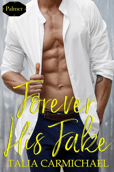 Palmer book cover 2