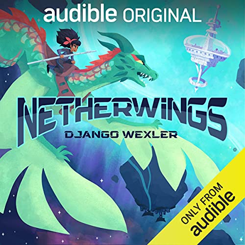 Netherwings book cover