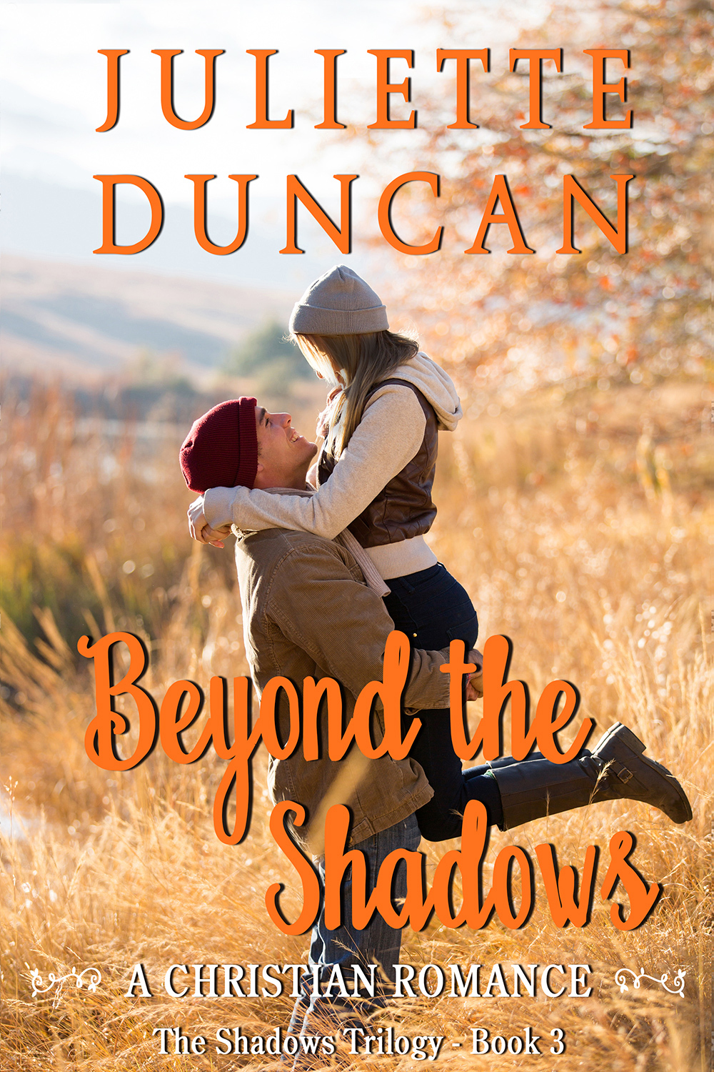 The Shadows book cover 3