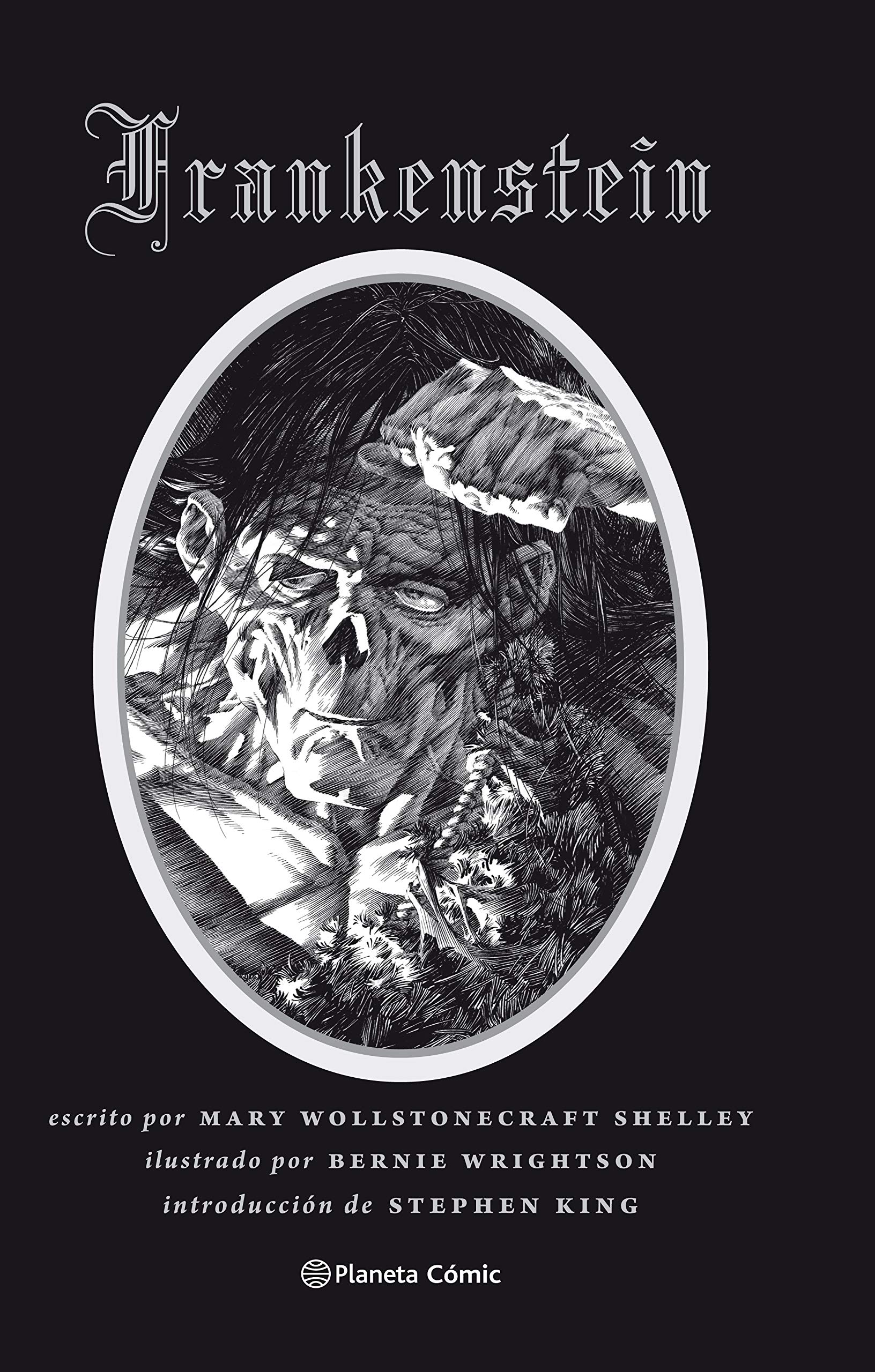 Frankenstein book cover