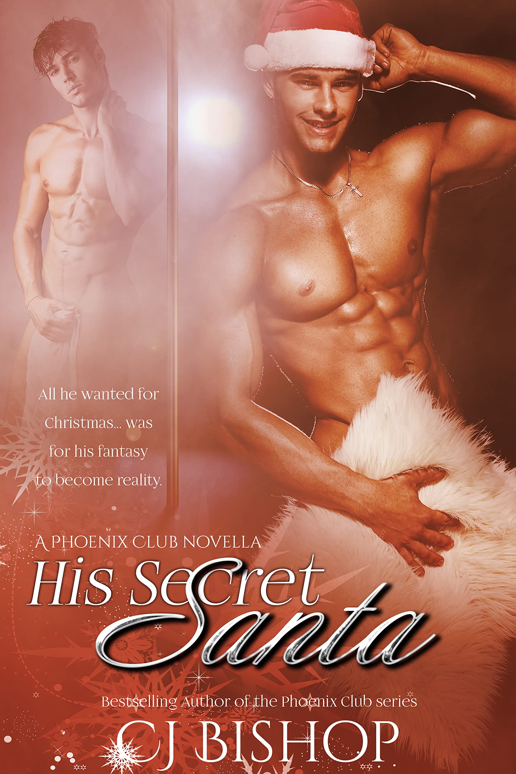 His Secret Santa book cover