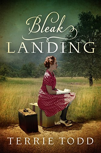 Bleak Landing book cover