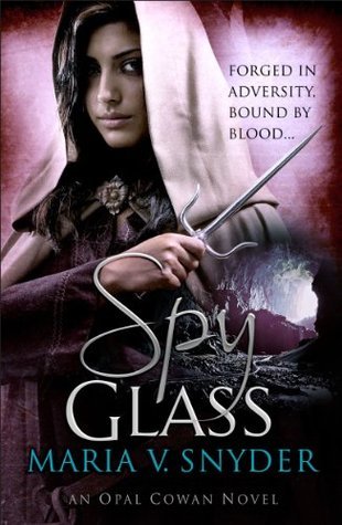 Glass book cover 3