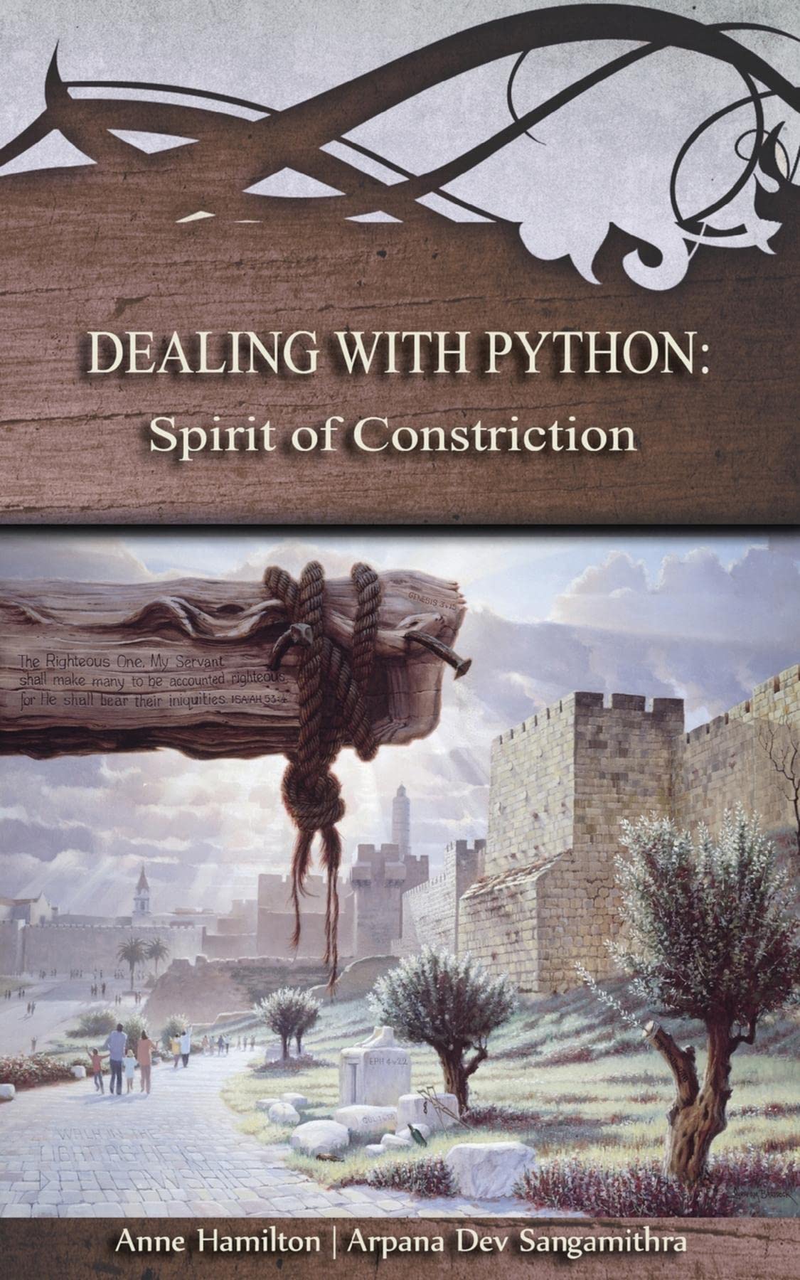 Dealing with Python book cover