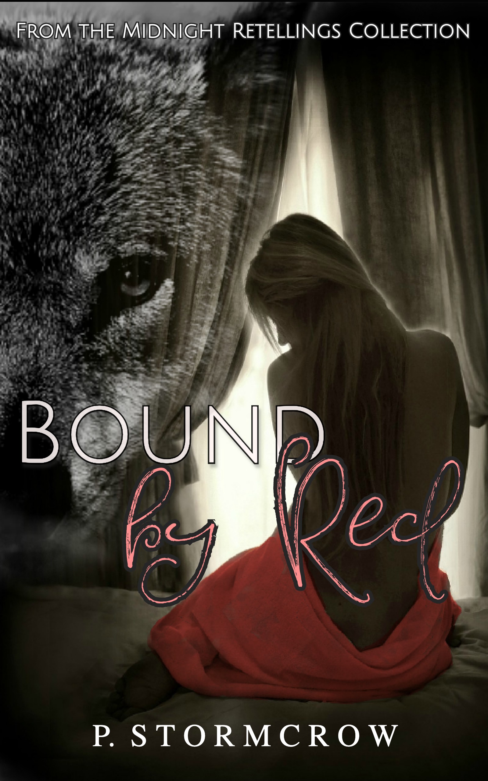 The Midnight Retellings book cover 1