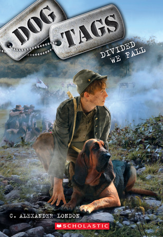 Divided We Fall book cover