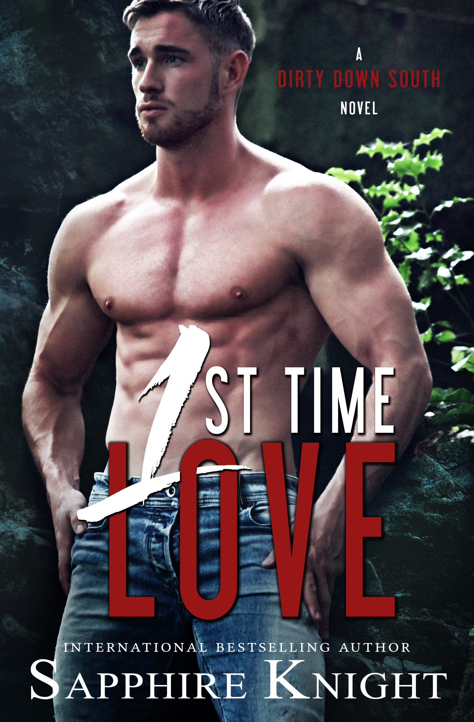 Dirty Down South book cover 1