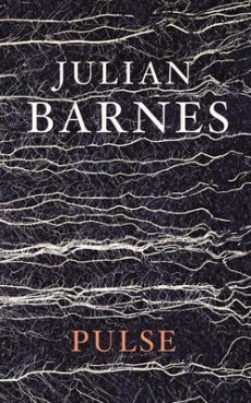 Pulse book cover