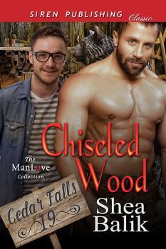 Chiseled Wood book cover