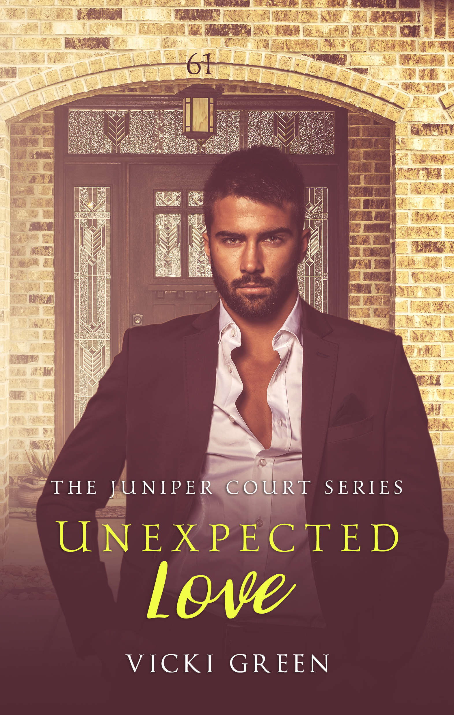 Unexpected Love book cover