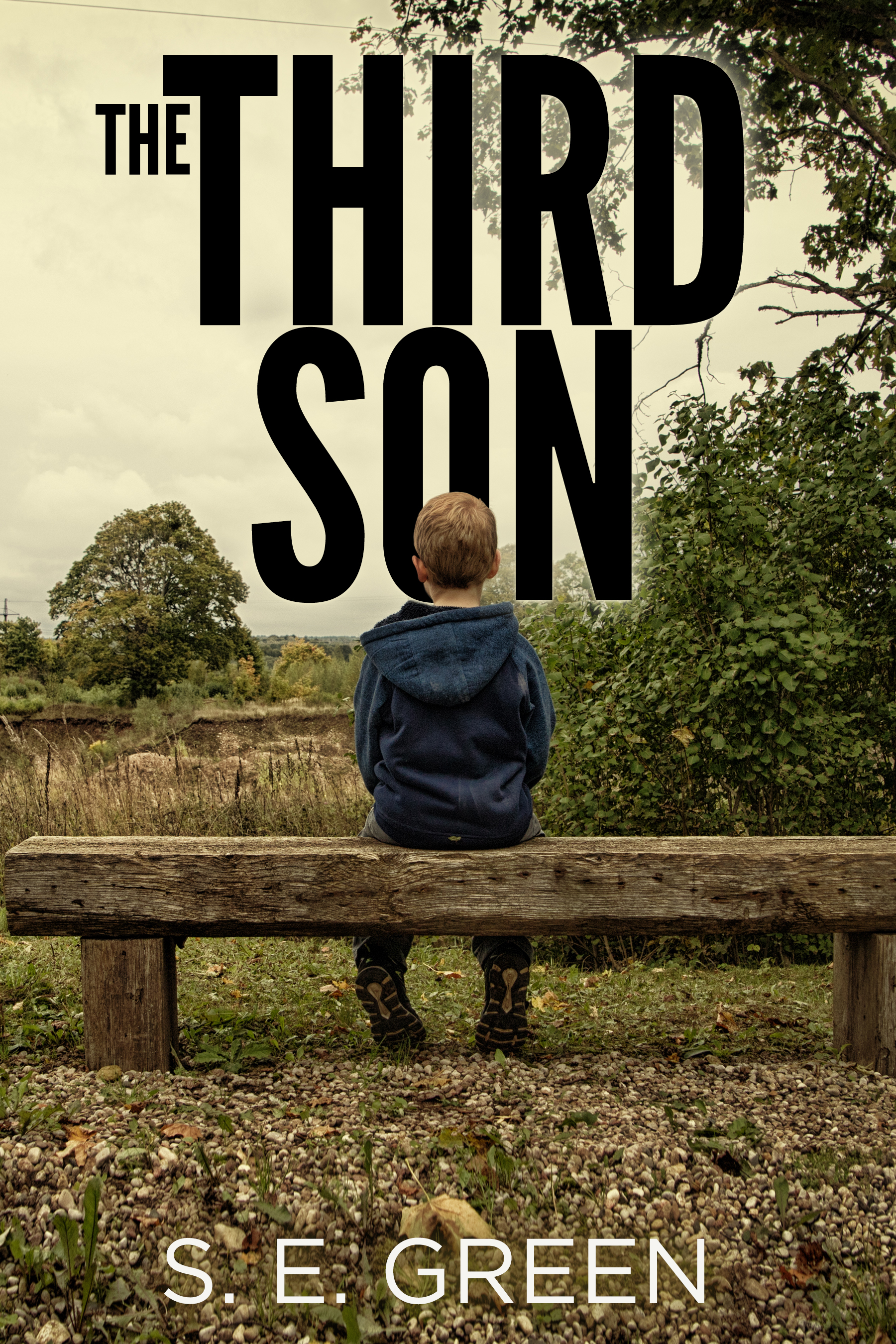 The Third Son book cover