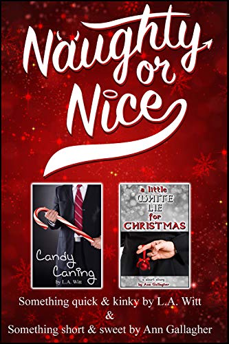 Naughty or Nice book cover