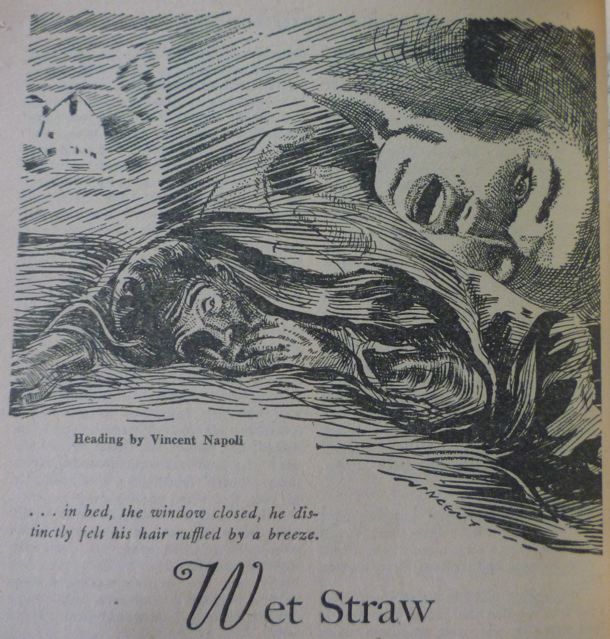 Wet Straw book cover