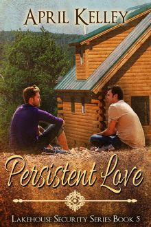 Persistent Love book cover