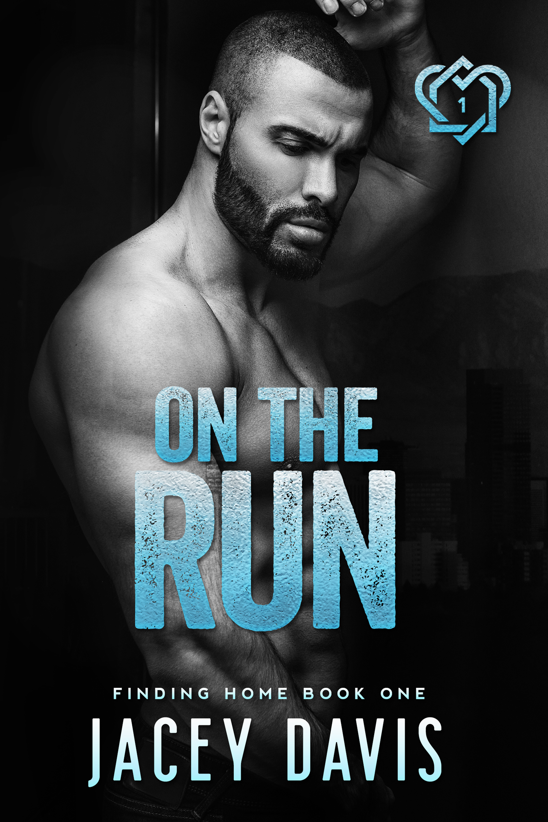 On The Run book cover