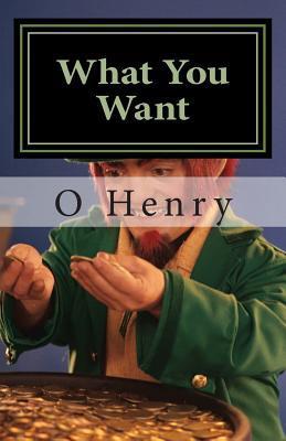 What You Want book cover