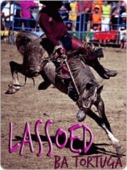 Lassoed book cover