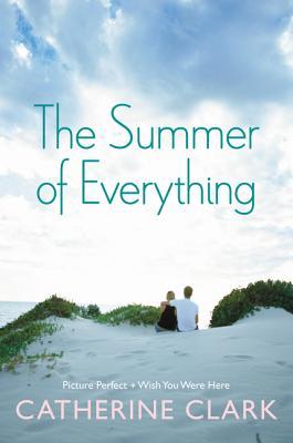 The Summer of Everything book cover