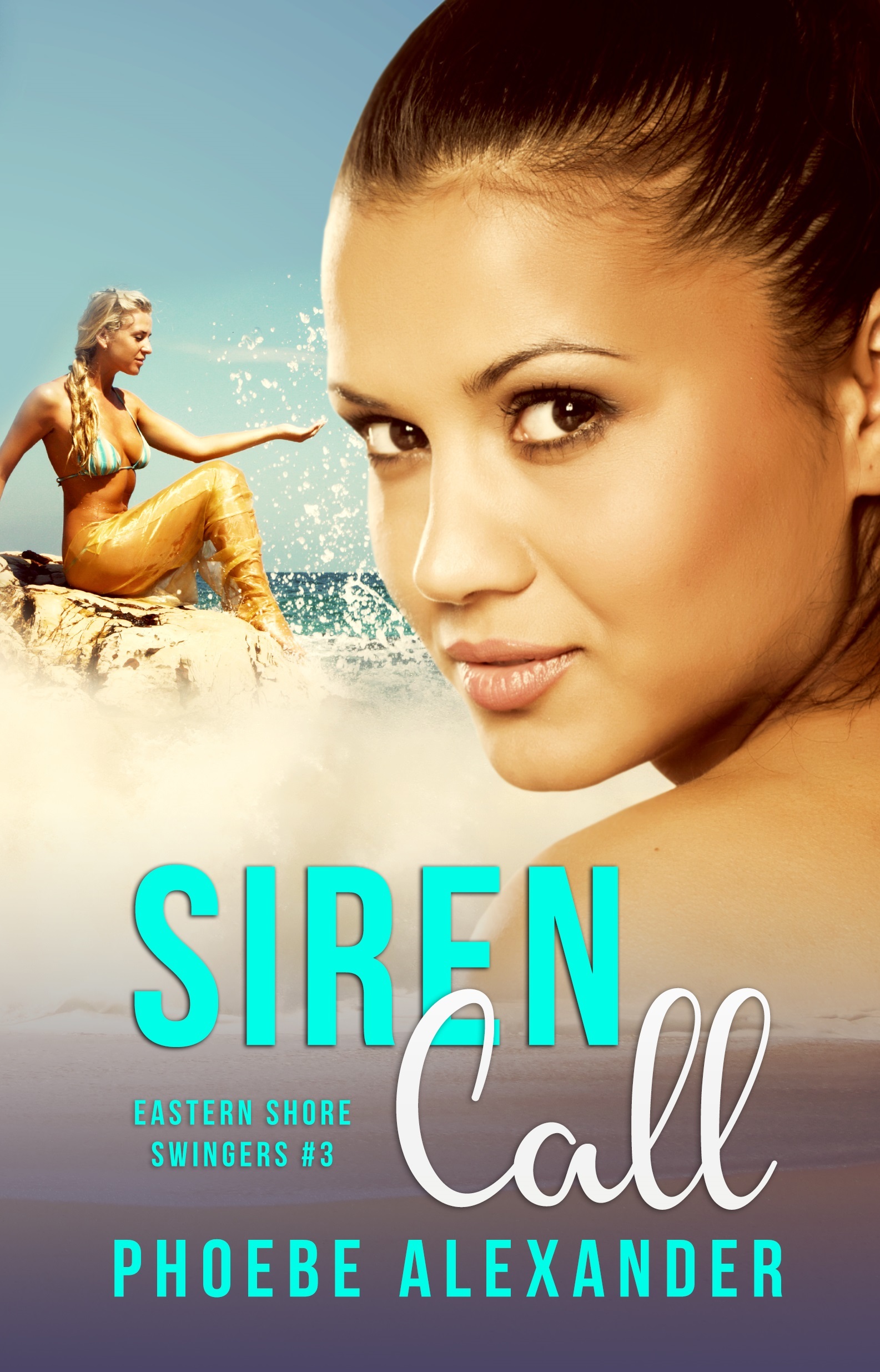 The Eastern Shore Swingers book cover 3