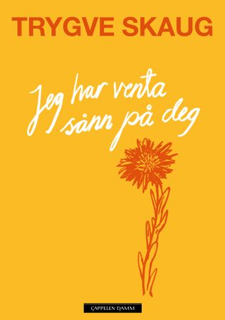 Jeg har venta sånn på deg book cover