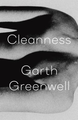 Cleanness book cover