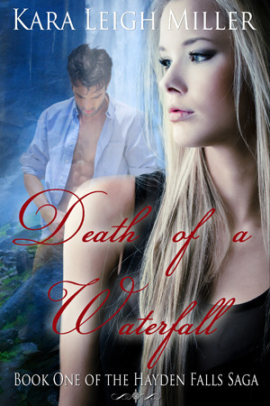 Death of a Waterfall book cover