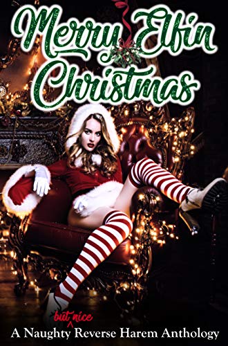 Merry Elfin Christmas book cover