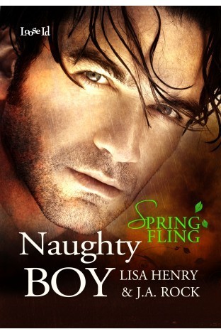 The Naughty Boy book cover