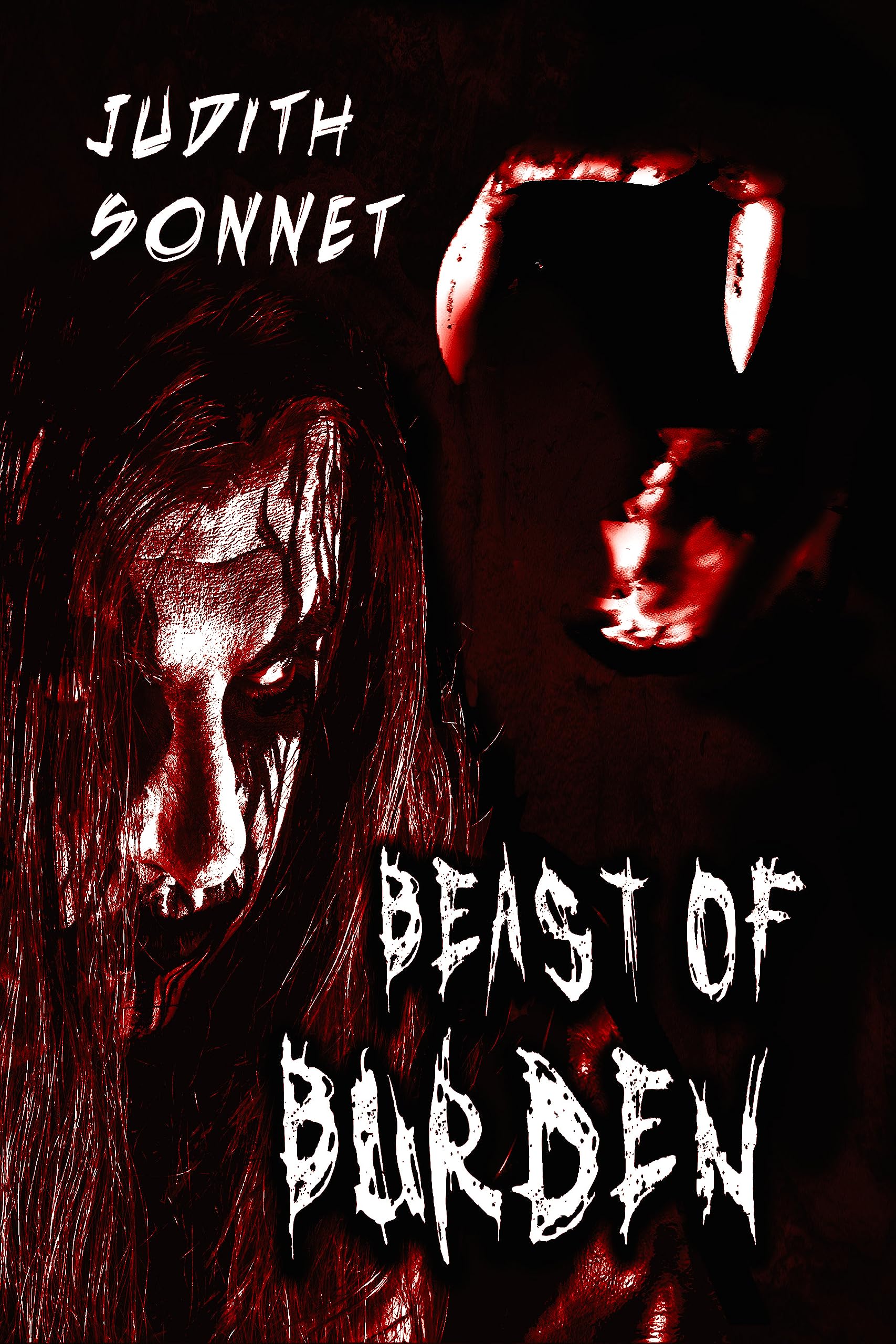 Beast of Burden book cover