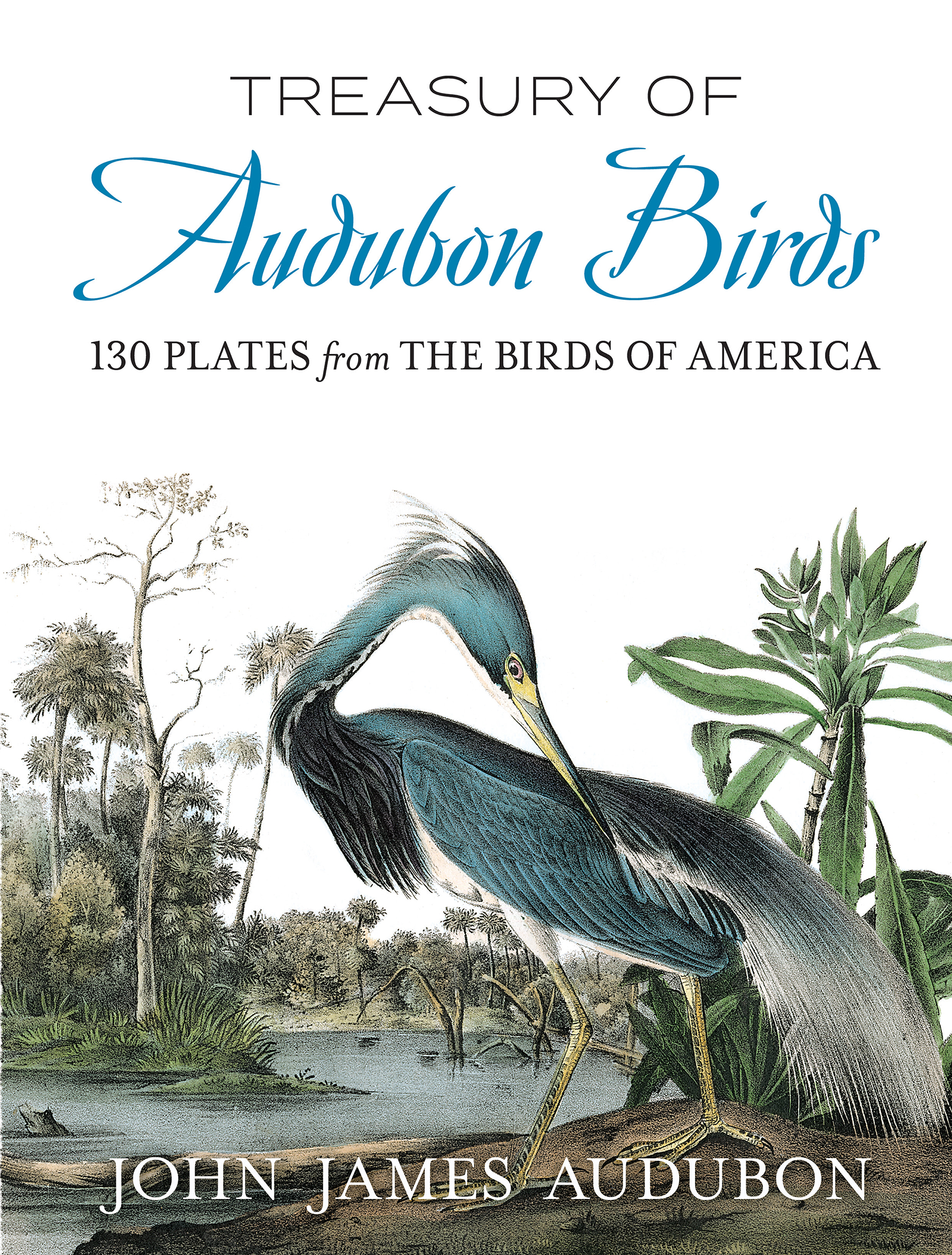Treasury of Audubon Birds book cover