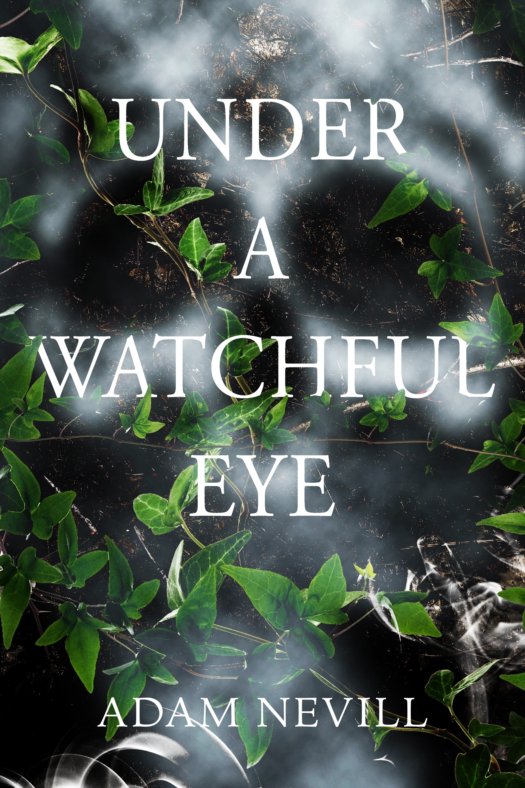 Under a Watchful Eye book cover