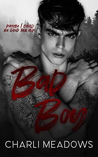 The Loyal Boys book cover 2