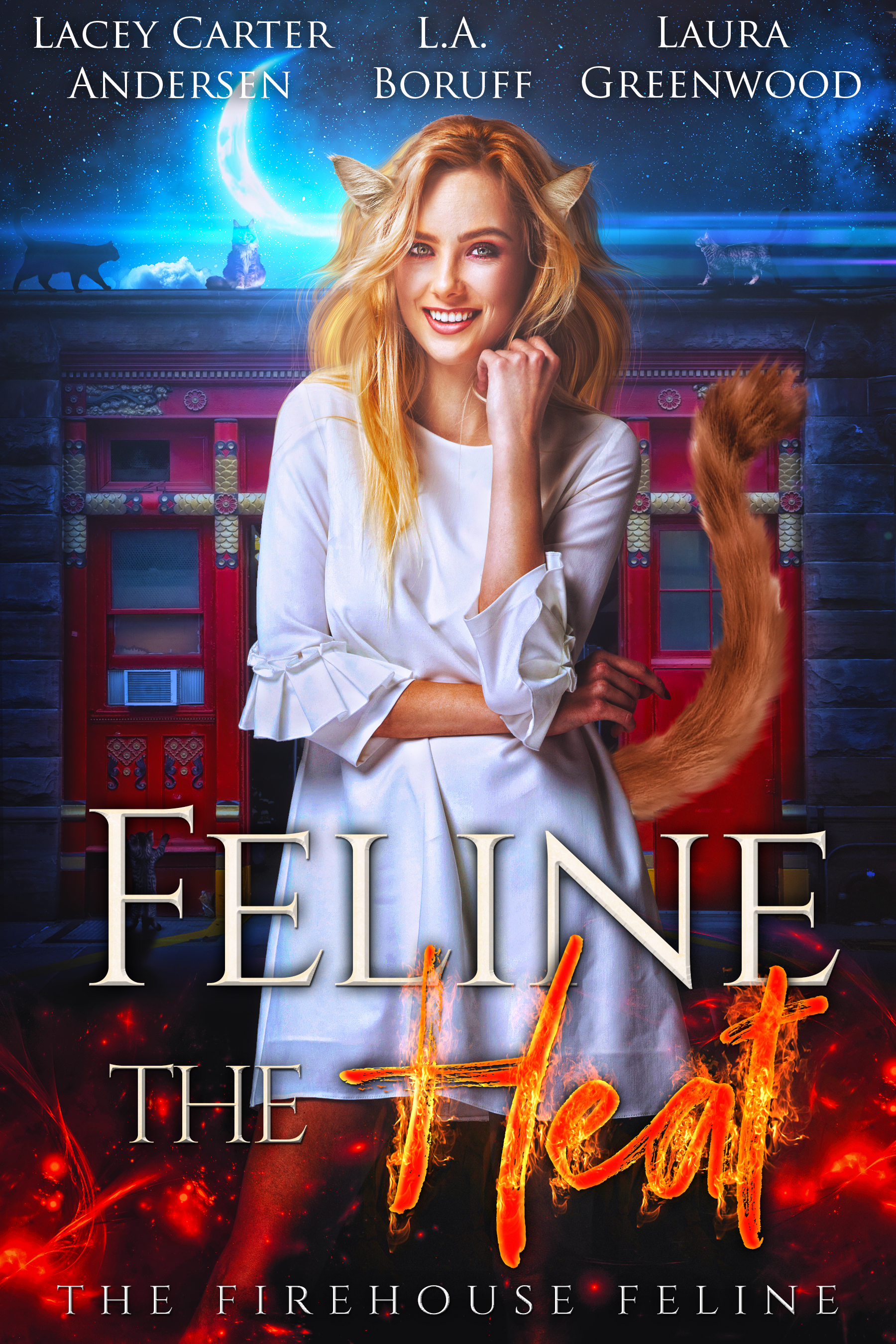 The Firehouse Feline book cover 1