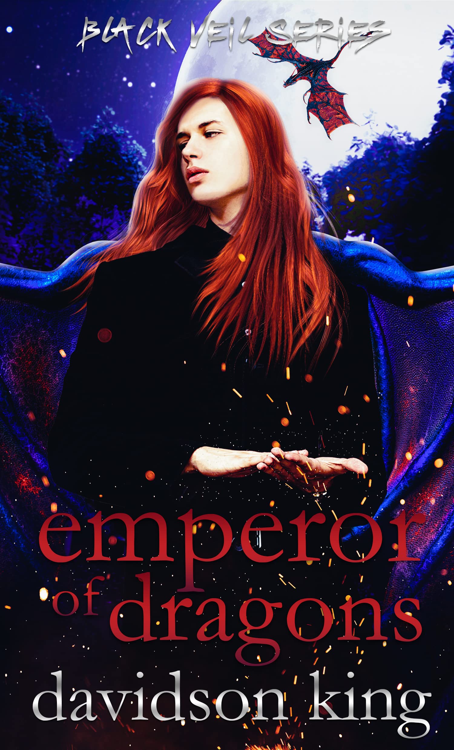 Black Veil book cover 2