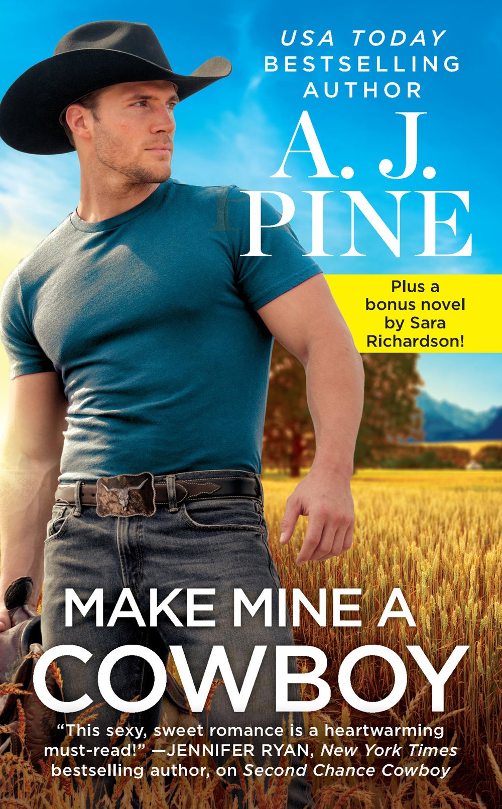 Meadow Valley book cover 2