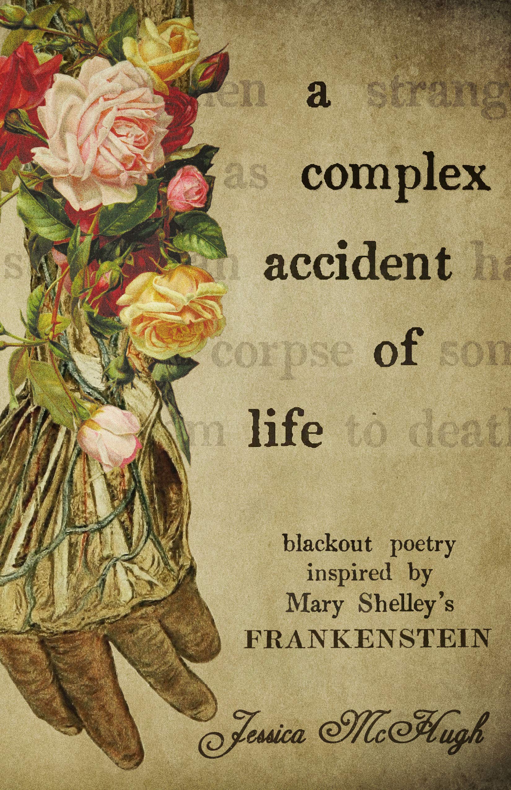 A Complex Accident of Life book cover