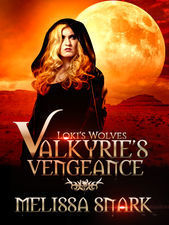 Valkyrie's Vengeance book cover